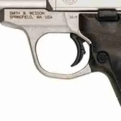 S&W Victory .22LR