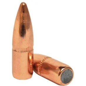 30 Cal .308 125 gr FMJ