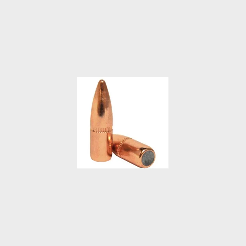 30 Cal .308 125 gr FMJ